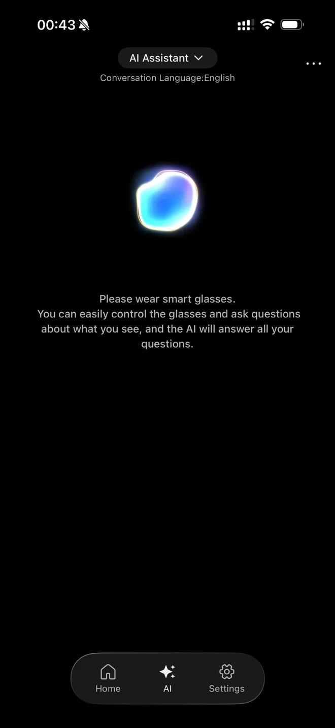 Supplied camera companion app screen: AI assistant interface